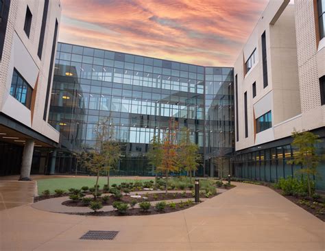 Center for Behavioral Sciences .